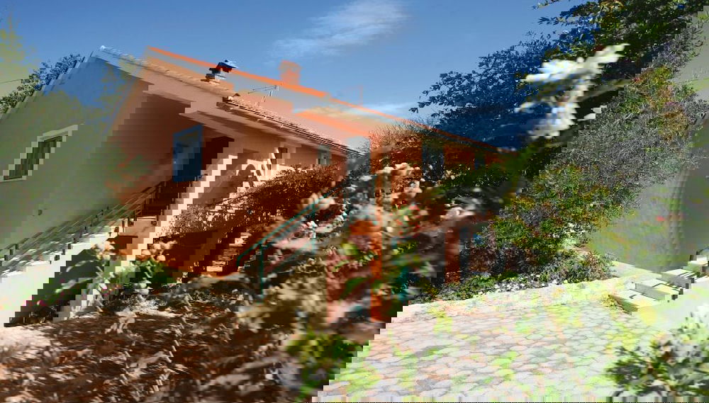 Imagem principal
