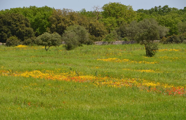 Tenuta Deserto - Foto 59