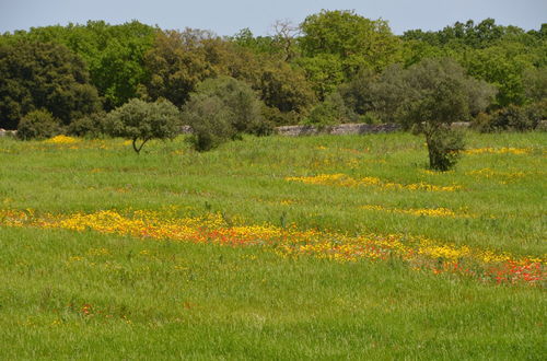 Foto 59 - Tenuta Deserto