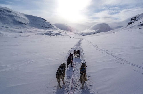 Foto 40 - Résidence Le Val d'Illaz - Val-d'Isère