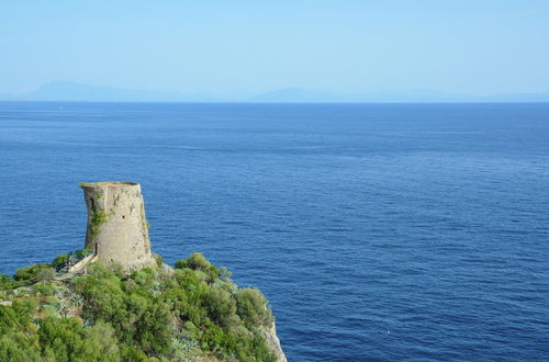 Photo 29 - Apartment in Country House near Center of Sorrento