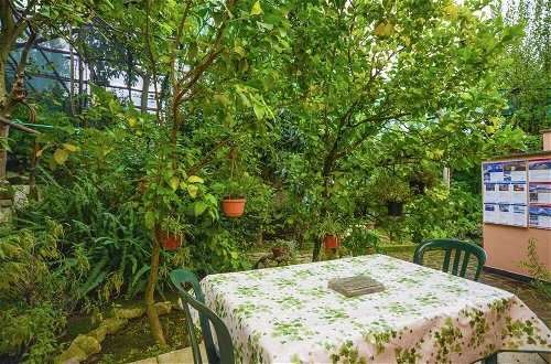 Photo 15 - Apartment in Country House near Center of Sorrento