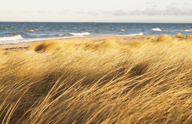 Strandleben Fehmarn - Ferienhaus 1 - Foto 19