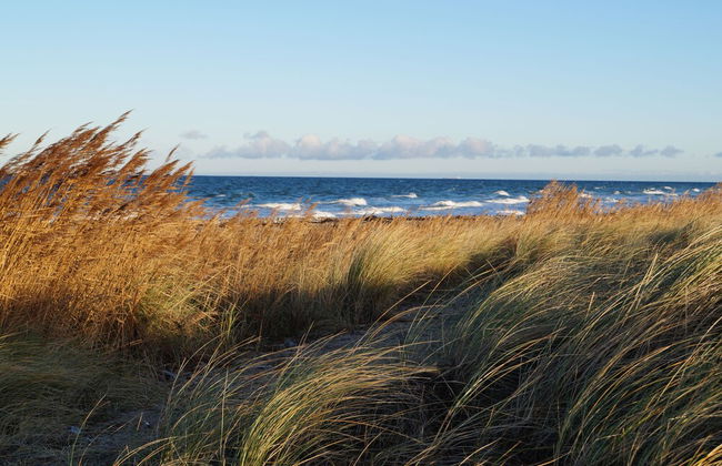 Strandleben Fehmarn - Ferienhaus 1 - Foto 20