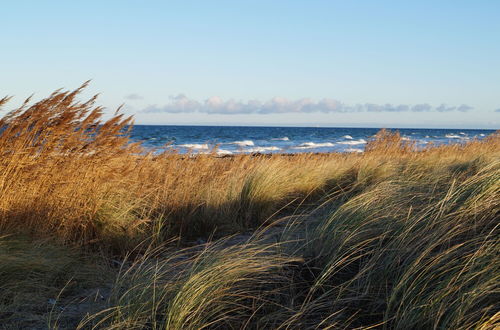 Foto 20 - Strandleben Fehmarn - Ferienhaus 1