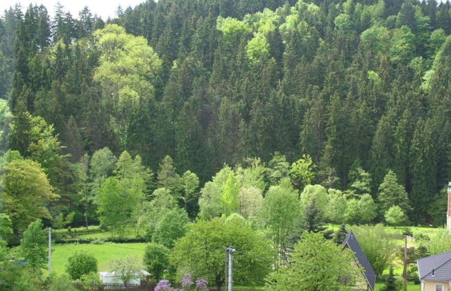 Villa in Borstendorf Nahe Erzgebirge - Foto 25