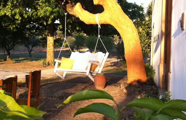 Quinta dos Ribeiros - Foto 60