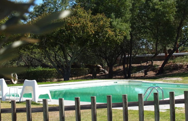 Quinta dos Ribeiros - Foto 52