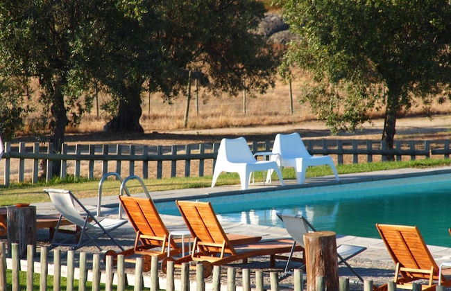 Quinta dos Ribeiros - Foto 51