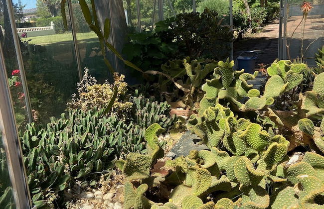 Cortijo Galván - Foto 46