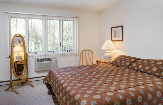The Nordic Inn a Condominium Resort - Foto 1