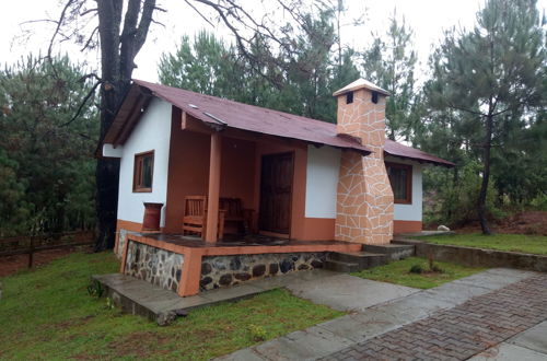 Foto 1 - Cabañas del Bosque