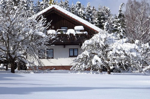 Photo 27 - Cozy Holiday Home in Loßburg near Ski Area