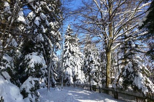 Photo 25 - Cozy Holiday Home in Loßburg near Ski Area