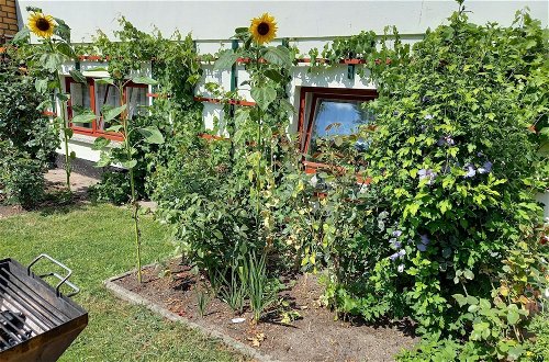 Photo 29 - Apartment in Alt Bukow With Garden