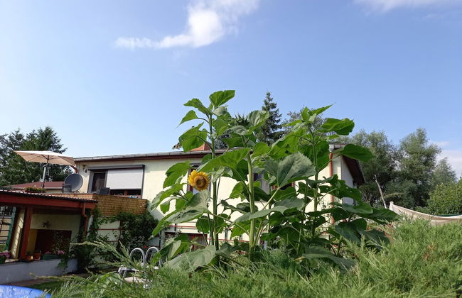 Wohnung in Alt Bukow mit Garten - Foto 23