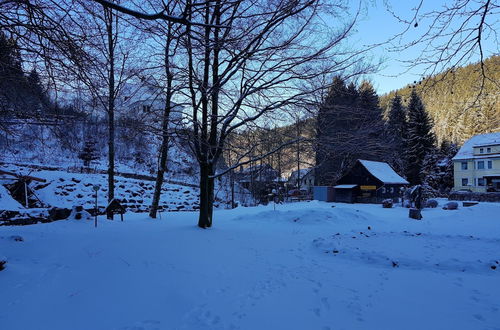 Foto 31 - Spacious Apartment in Upper Harz near River