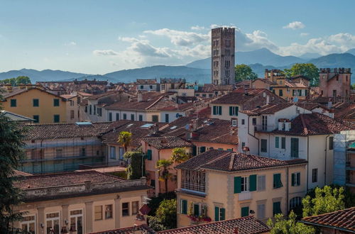 Photo 3 - Casa Rosalba in Lucca