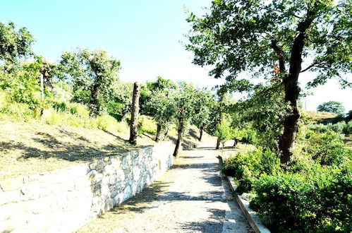 Photo 8 - Casa Nando in Sant Agata sui Due Golfi