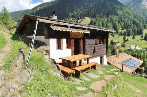 Photo 1 - Chalet in Binntal-langtal With Garden