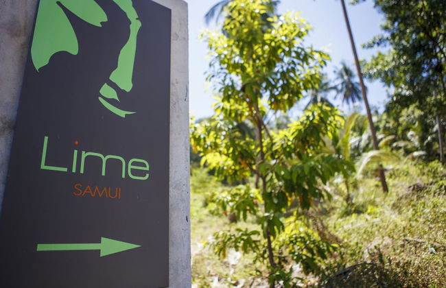 Lime Samui 3 Villas 15 Br - Photo 46