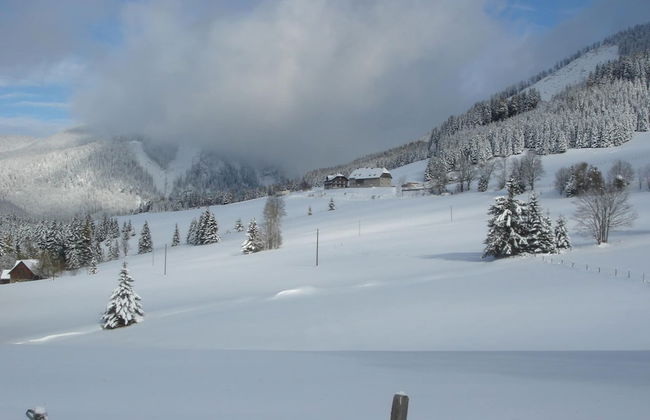 Nice Chalet in Hohentauern / Styria With Sauna - Foto 26