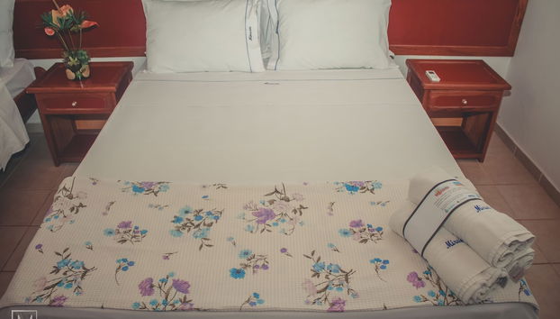 Quarto