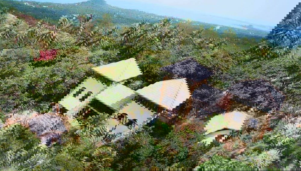 Imagem principal