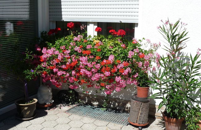 Graceful Apartment with Garden in Velmede near City Center - Photo 25