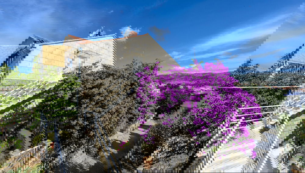 Image principale
