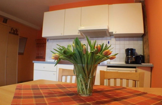 Reiterhof Koenning - Photo 14