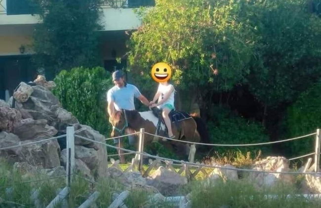 Ktima Nikola - Foto 39