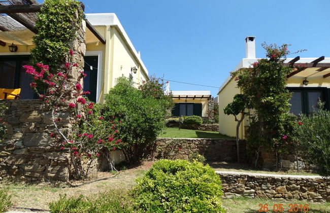 Ktima Nikola - Foto 50