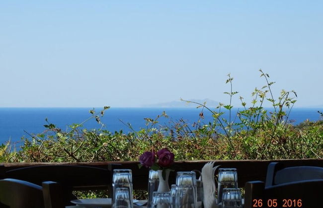 Ktima Nikola - Foto 24