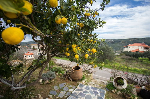 Foto 26 - Traditional Cretan Family Home