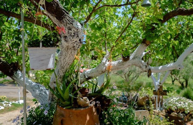 Traditional Cretan Family Home - Foto 43
