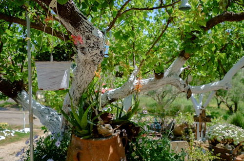 Photo 43 - Traditional Cretan Family Home