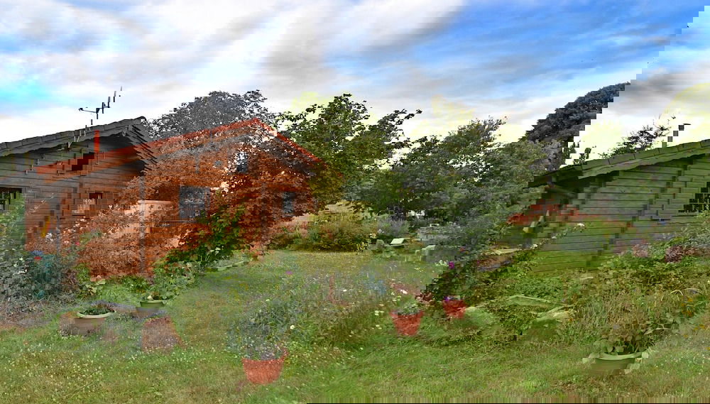 Primary image