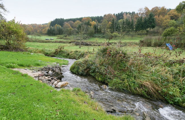 Apartment in the Hunsruck Region's Drohn Valley - Foto 24