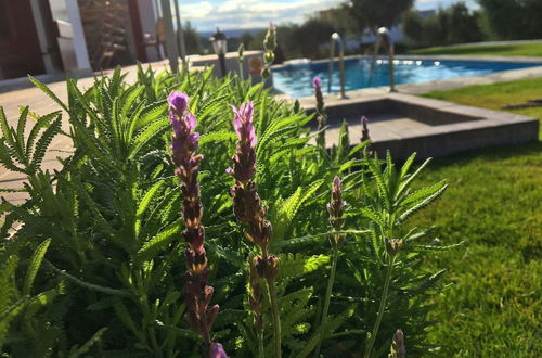 Photo 25 - Boutique Villa in Arkadi With Pool and Deck Chairs