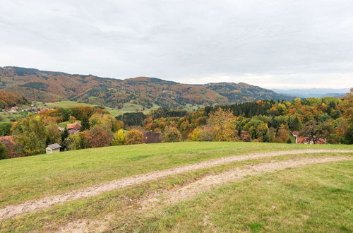 Photo 25 - Apartment on the Edge of the Forest