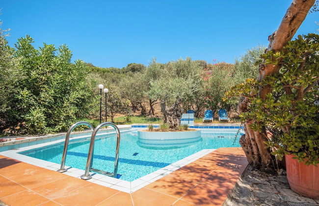 Olive Farm - Foto 46