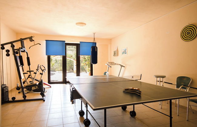 Olive Farm - Foto 9