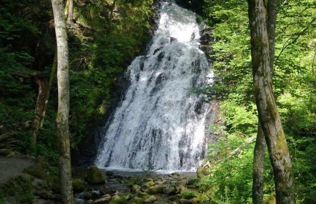 Wald-wohnung in Todtmoos - Foto 37