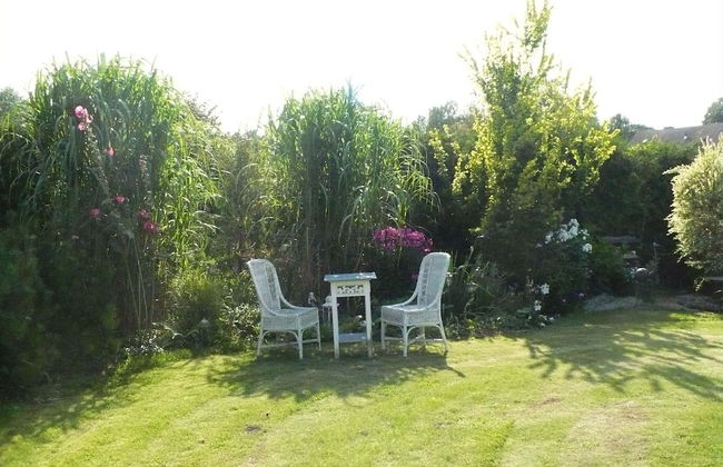 Gemutliche Ferienwohnung mit Garten in Walkendorf - Photo 10