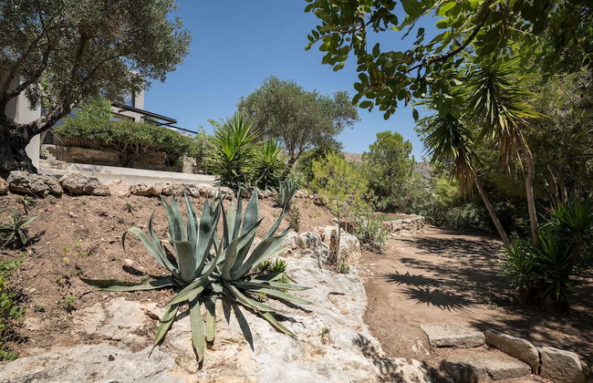 OPENNESS. House by the sea. - Photo 44