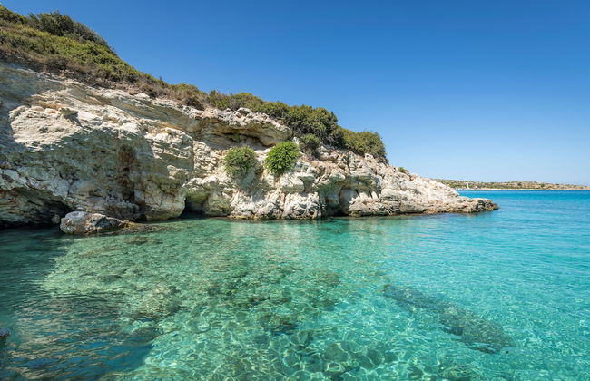 OPENNESS. House by the sea. - Photo 33