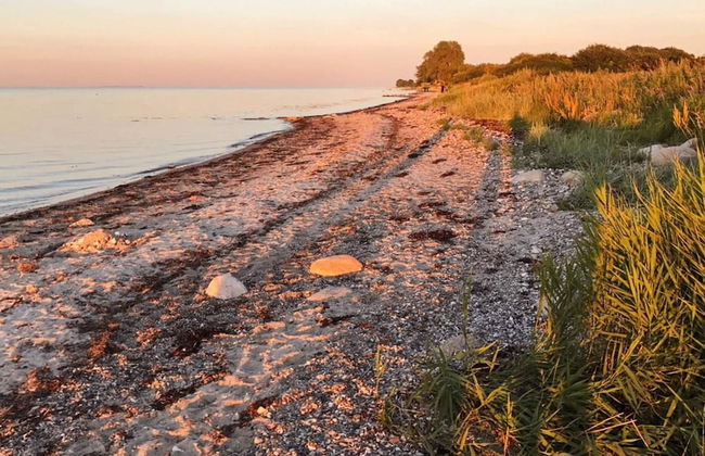 8 Person Holiday Home in Nordborg-by Traum - Foto 23