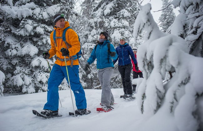 Tremblant-Les-Eaux - RVMT - Foto 75