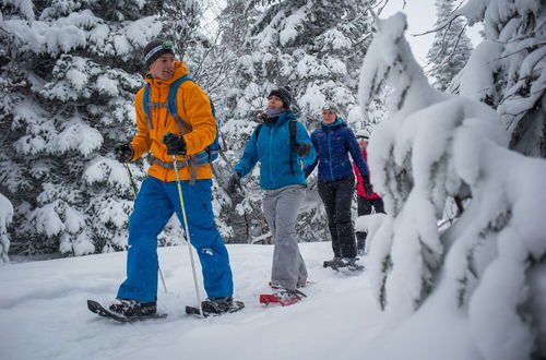 Photo 44 - Etoile du Matin by Tremblant Platinum